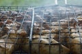 close-up: roast porkmeat inside grill on fire with smoke Royalty Free Stock Photo