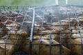 close-up: roast porkmeat inside grill on fire with smoke