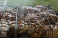 close-up: roast porkmeat inside grill on fire with smoke