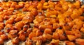 Close up of roasted butternut squash cubes Royalty Free Stock Photo