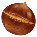 Close Up of a Roasted Chestnut with Natural Brown Shell on White Background Royalty Free Stock Photo
