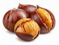 Close Up of Roasted Chestnuts with Brown Shells and Beige Filling on White Background Royalty Free Stock Photo