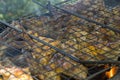 close-up: roasted chicken wings inside grill on fire with smoke Royalty Free Stock Photo