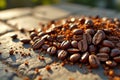 Close-up of roasted coffee beans and grounds on stone surface in sunlight Royalty Free Stock Photo