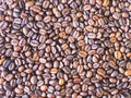 Close up of Roasted coffee beans isolated background Royalty Free Stock Photo