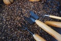Close-up roasted coffee beans image. Royalty Free Stock Photo