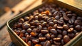 Close-up of roasted coffee beans in sunlit metal tray Royalty Free Stock Photo