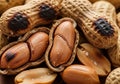 Close-up of roasted peanuts (Arachis hypogaea) with shells and Royalty Free Stock Photo