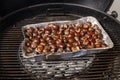Close-up of roasting chestnuts on a charcoal grill. Royalty Free Stock Photo