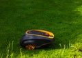 Close up robot lawnmower mows grass on a green lawn with copy space Royalty Free Stock Photo