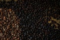 Close up robusta coffee seed difference roasted