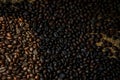 Close up robusta coffee seed difference  roasted Royalty Free Stock Photo