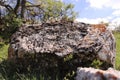 Close-up Rock Formation That Can Be Used as Background and Texture Royalty Free Stock Photo