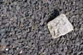 Close-up in the rock garden with basalt gravel and a granite stone Royalty Free Stock Photo