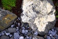 Close-up in the rock garden with ornamental gravel and stone blocks next to green plant