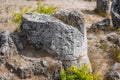 Pobiti Kamani rock formations protected area in Bulgaria Royalty Free Stock Photo