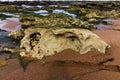 Close up of Rock Pools Sand and Textured Background Royalty Free Stock Photo