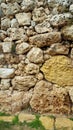 a close up of a rock wall with grass growing on it Royalty Free Stock Photo