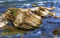 Close up of Rocks in a flowing River Royalty Free Stock Photo