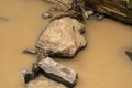 Close-up of rocks in muddy river