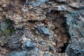 Close-up of salt and rocks