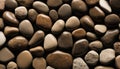 A close up of a rocky surface with a mix of white and brown rocks Royalty Free Stock Photo