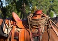 Close up on rodeo saddle with lasso on horse