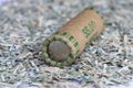 Close up of a roll of dimes bedded on shreds of unfit US currency.