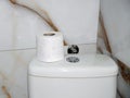A close-up of a roll of white toilet paper on a toilet cistern Royalty Free Stock Photo