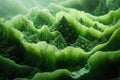 Romanesco Broccoli Close-up: Mesmerizing Fractal Pattern and Vibrant Green