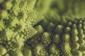 Close up of romanesque cauliflower logarithmic spirals Royalty Free Stock Photo