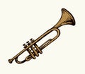 Musical instrument. Trumpet. Vector drawing Royalty Free Stock Photo