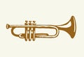 Musical instrument. Trumpet. Vector drawing Royalty Free Stock Photo