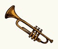 Musical instrument. Trumpet. Vector drawing Royalty Free Stock Photo