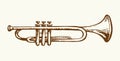 Musical instrument. Trumpet. Vector drawing Royalty Free Stock Photo