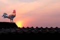 Rooster crowing in early morning on house roof with sunrise and l landscape sky background