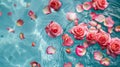 Close-up of rose blossoms falling on water surface, top down view Royalty Free Stock Photo