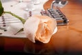 Close up rose with dew drops on guitar Royalty Free Stock Photo