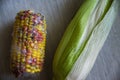 Close up on rotten corn on the table Royalty Free Stock Photo