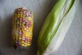 Close up on rotten corn on the table Royalty Free Stock Photo