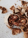 Close-up of rotten, infected walnut halves with a worm