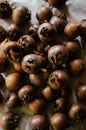 Close-up of rotten medlar fruits