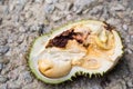 Close-up of rotten durian fruit, infested by insects and pest