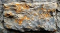Close-up of a rough, gray stone with orange lichen, forming a textured background Royalty Free Stock Photo