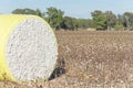 Close-up cotton bales on harvested field in Texas, USA Royalty Free Stock Photo