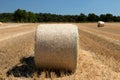 Close up of round bales on a field with wood and blue sky in the background