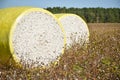 Close-up round bale of harvested cotton wrapped in yellow plastic.