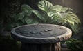 Close up of round empty rock table with sunlight with tropical leaves plants, mockup Royalty Free Stock Photo