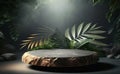 Close up of round empty rock table with sunlight with tropical leaves plants, mockup Royalty Free Stock Photo