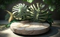 Close up of round empty rock table with sunlight with tropical leaves plants, mockup Royalty Free Stock Photo